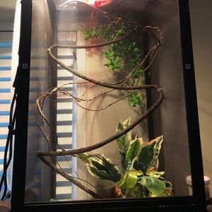 Reptile cage